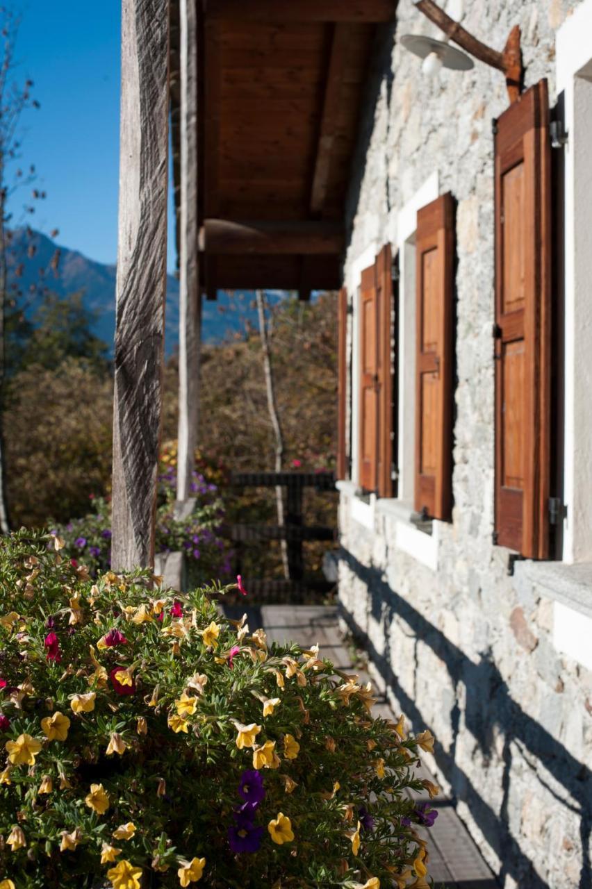 Civo Agriturismo La Pedruscia מראה חיצוני תמונה